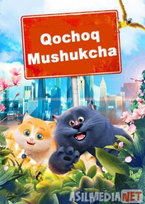 Orzumand mushukcha / Qochoq mushukcha Uzbek tilida multfilm