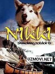 Nikki shimolning zotdor iti Uzbek tilida O'zbekcha 1961 tarjima kino Full HD skachat