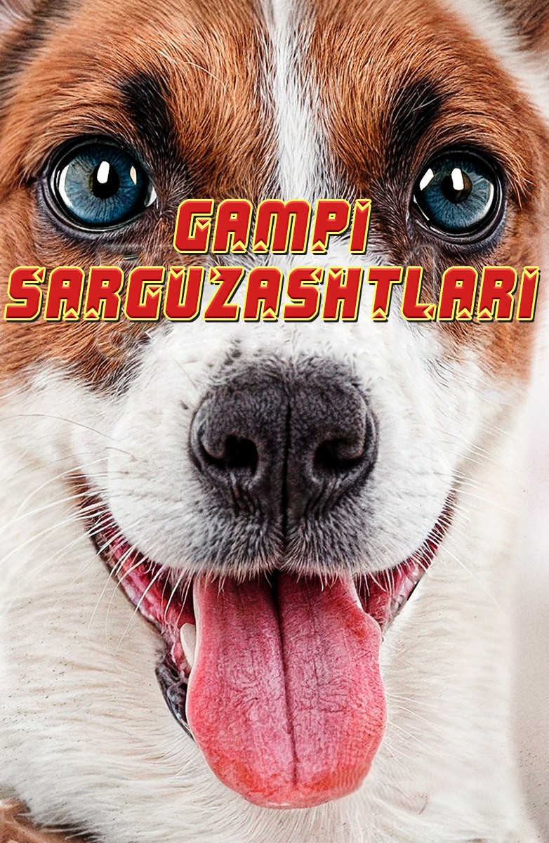 Gampining sarguzashtlari / Gampi: Itning hayoti Chexiya filmi Uzbek tilida 2024 tarjima kino HD skachat