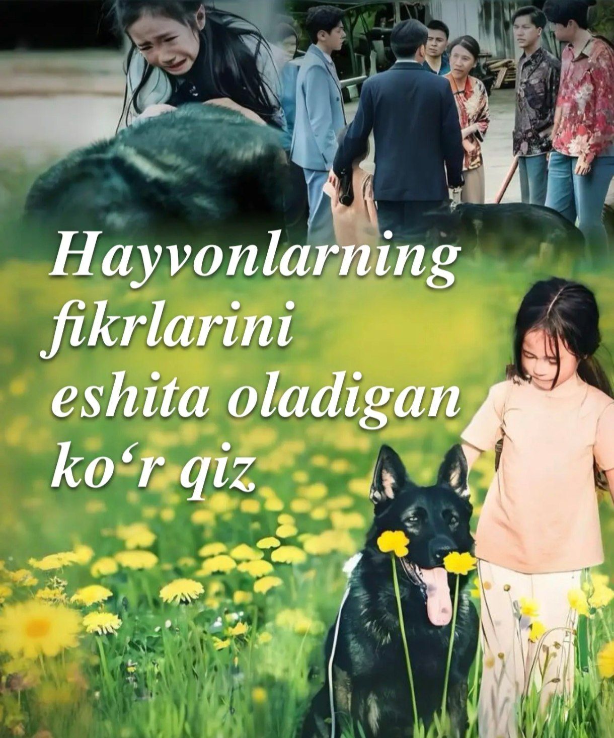 Hayvonlarning fikrlarini eshita oladigon ko'r qiz 1-2-3-10-20-30-40-50-65 Qism drama koreya seriali uzbek tilida Barcha qismlar